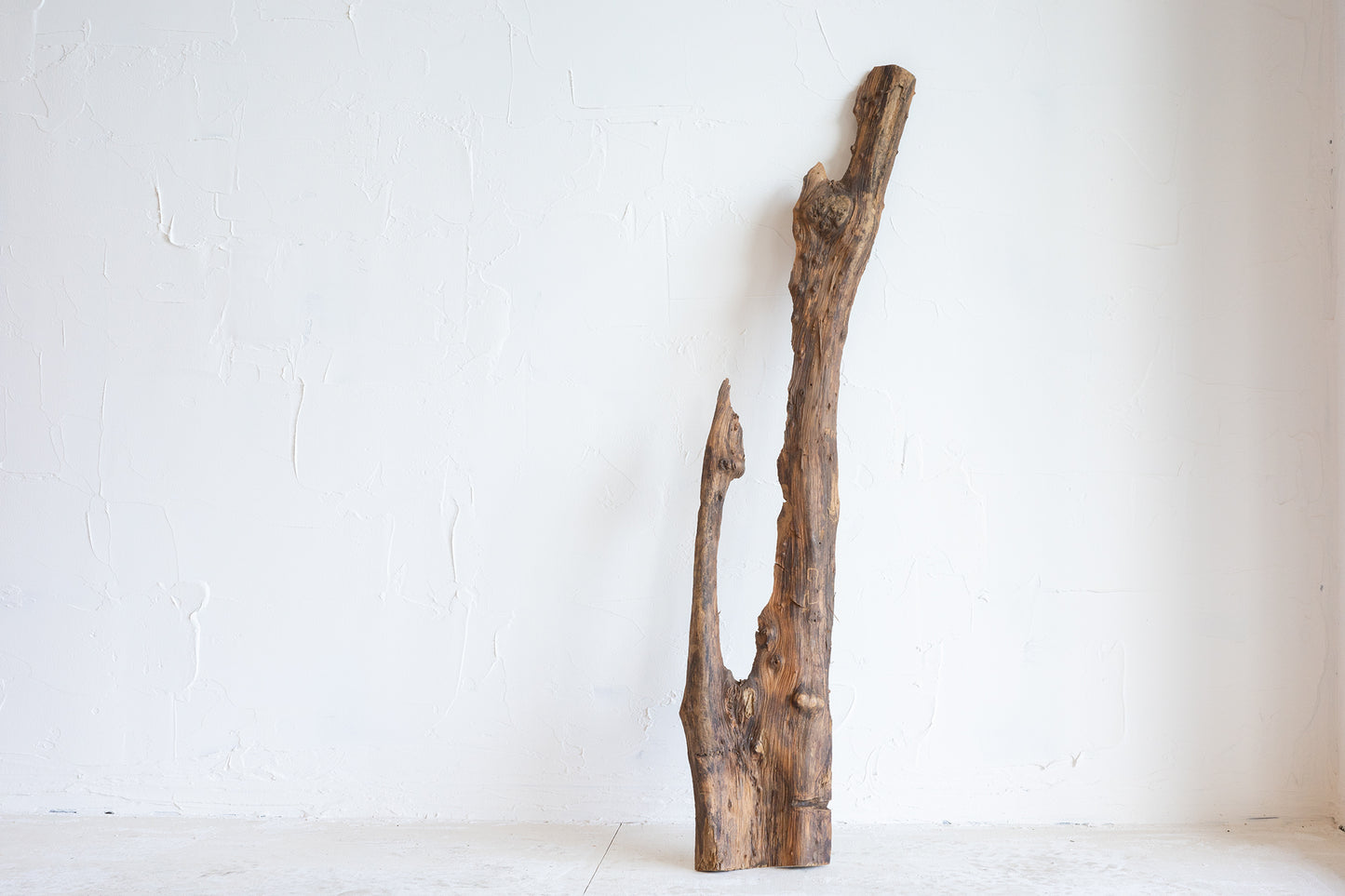 天然木2 / Natural Wood