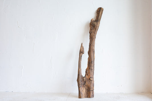 天然木2 / Natural Wood